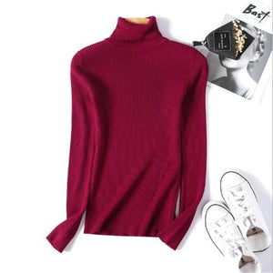 Sitaicery 2019 Winter Autumn Women Turtleneck Knitted Sweater High Collar Casual Soft Polo Neck-Neck Sweater Fashion Slim Pullov