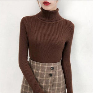 Sitaicery 2019 Winter Autumn Women Turtleneck Knitted Sweater High Collar Casual Soft Polo Neck-Neck Sweater Fashion Slim Pullov