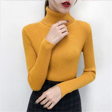 Load image into Gallery viewer, Sitaicery 2019 Winter Autumn Women Turtleneck Knitted Sweater High Collar Casual Soft Polo Neck-Neck Sweater Fashion Slim Pullov