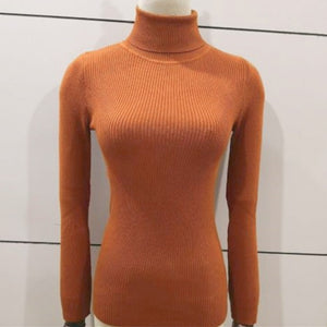 Sitaicery 2019 Winter Autumn Women Turtleneck Knitted Sweater High Collar Casual Soft Polo Neck-Neck Sweater Fashion Slim Pullov