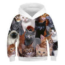 Load image into Gallery viewer, 2019 Autumn Winter Boys Girls Fashion 3D Hoodies Lovely Cat Panda Galaxy Space Print Children Hooded Sweatshirts Kids Pullovers