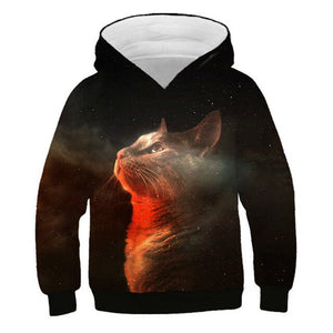 2019 Autumn Winter Boys Girls Fashion 3D Hoodies Lovely Cat Panda Galaxy Space Print Children Hooded Sweatshirts Kids Pullovers