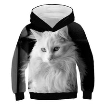 Load image into Gallery viewer, 2019 Autumn Winter Boys Girls Fashion 3D Hoodies Lovely Cat Panda Galaxy Space Print Children Hooded Sweatshirts Kids Pullovers