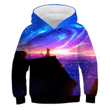 Load image into Gallery viewer, 2019 Autumn Winter Boys Girls Fashion 3D Hoodies Lovely Cat Panda Galaxy Space Print Children Hooded Sweatshirts Kids Pullovers