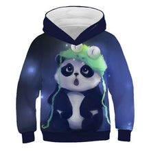 Load image into Gallery viewer, 2019 Autumn Winter Boys Girls Fashion 3D Hoodies Lovely Cat Panda Galaxy Space Print Children Hooded Sweatshirts Kids Pullovers